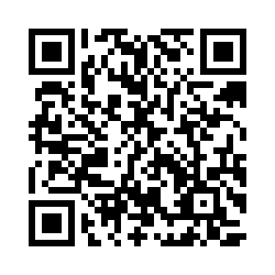 image_2025-04-09_004443212
